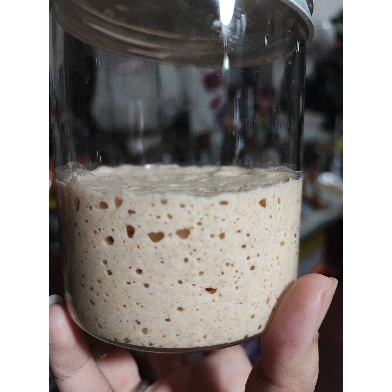 

HG Active Dried Wheat Sourdough Starter / Ragi Alami Kering Gandum