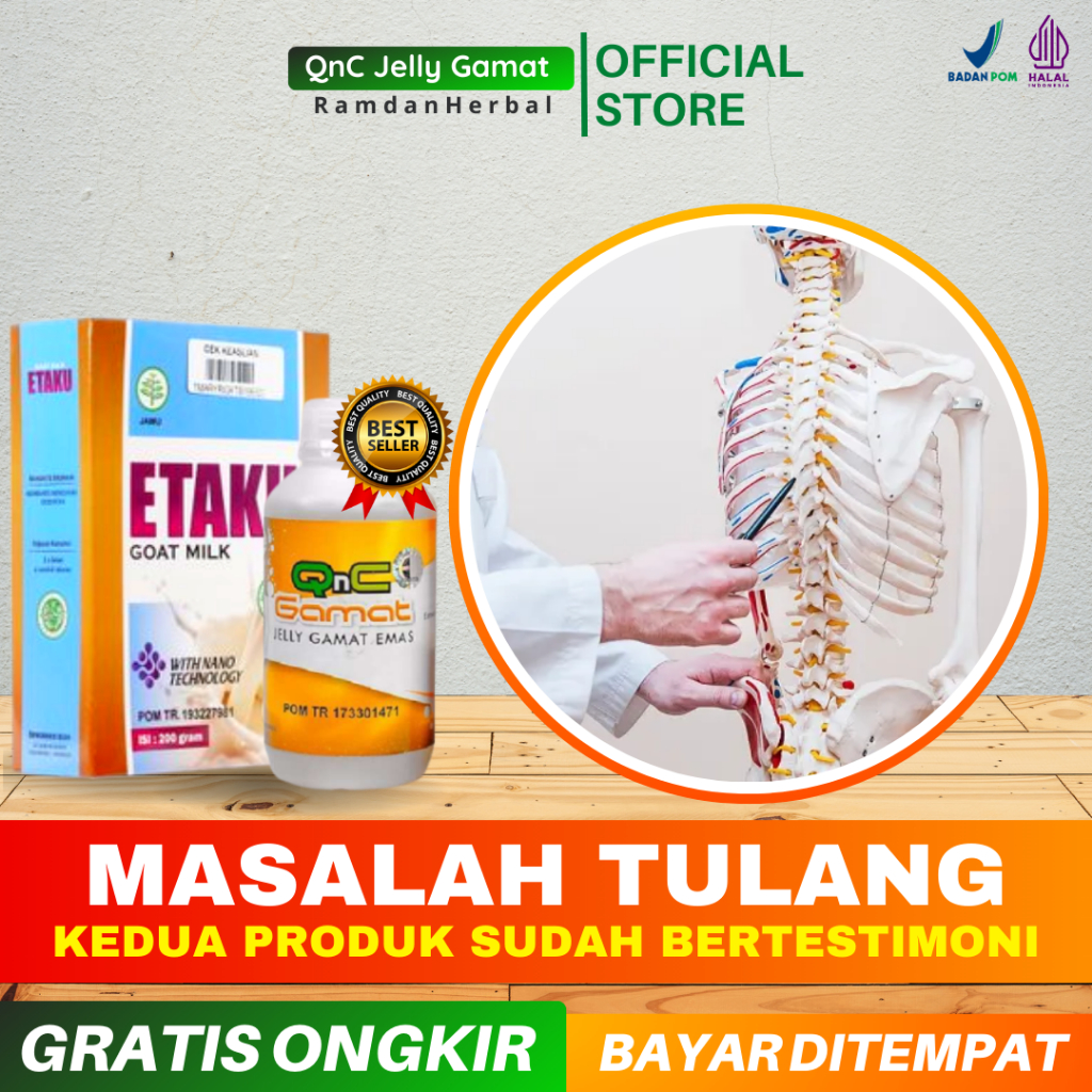 Obat Herbal Patah Tulang, Pengeroposan Tulang, Kanker Tulang, Tulang Retak | QnC Jelly Gamat