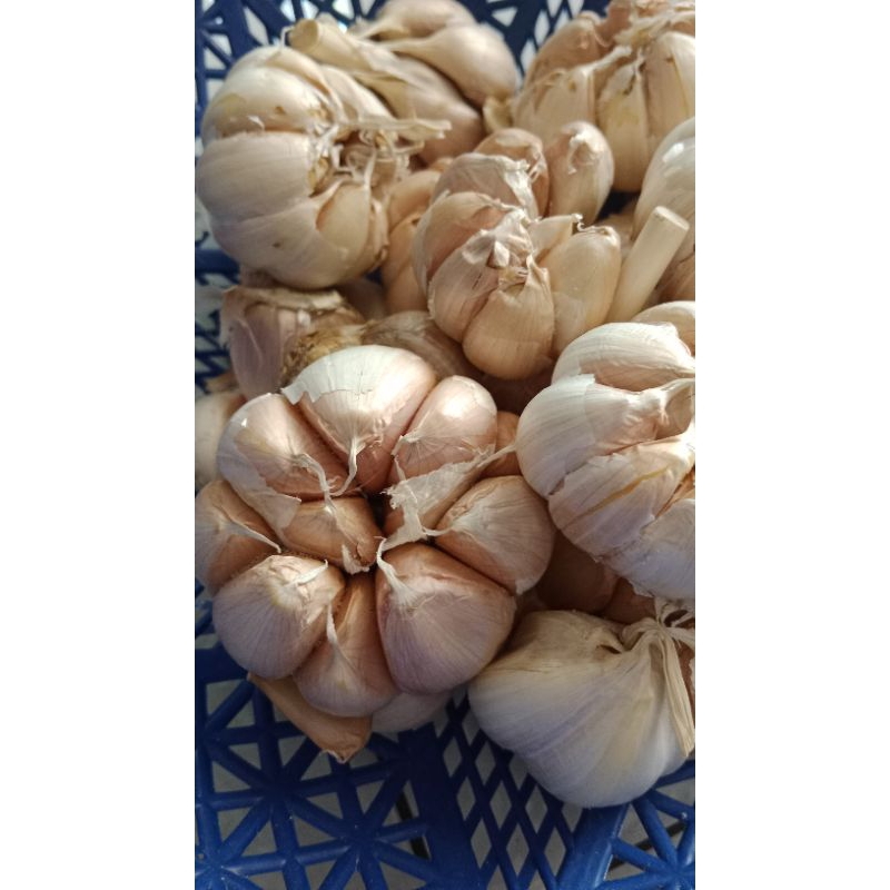 

Bawang putih 500g