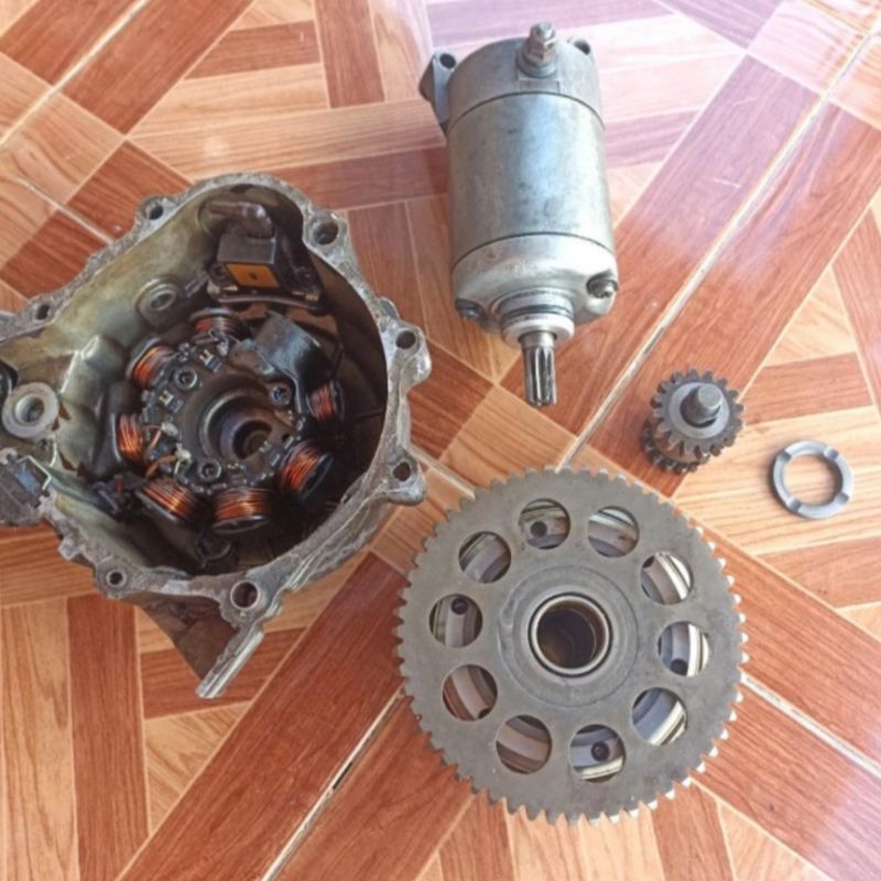 dobel stater tiger original