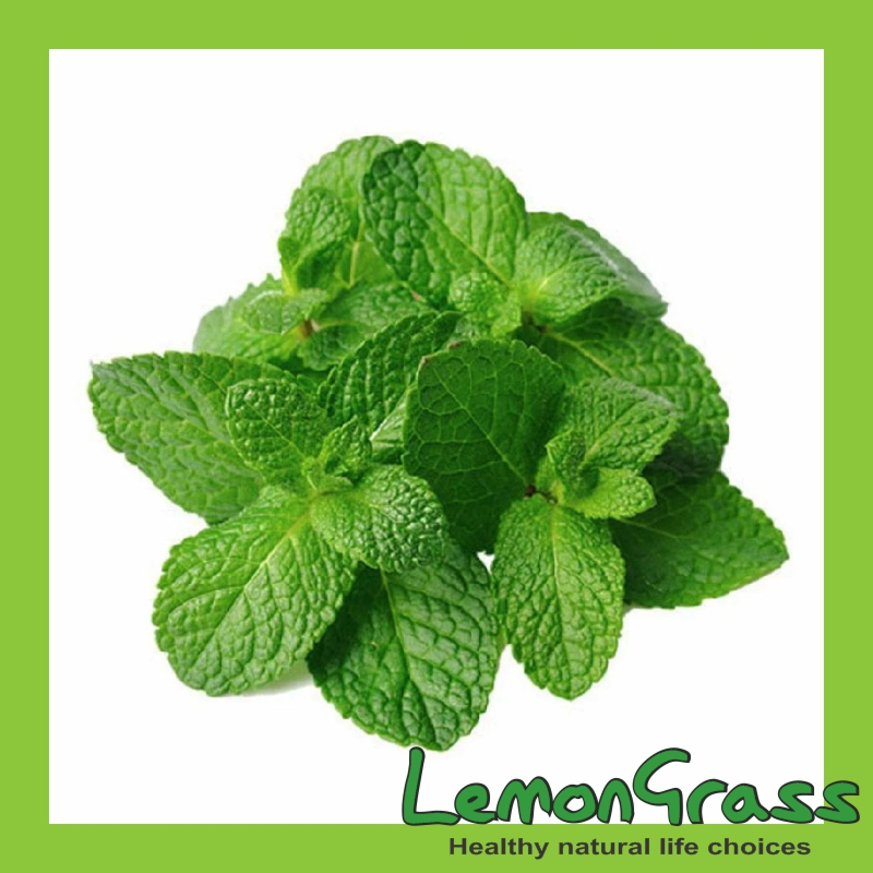 

Daun Mint Fresh kemasan 30gr Kirim instan