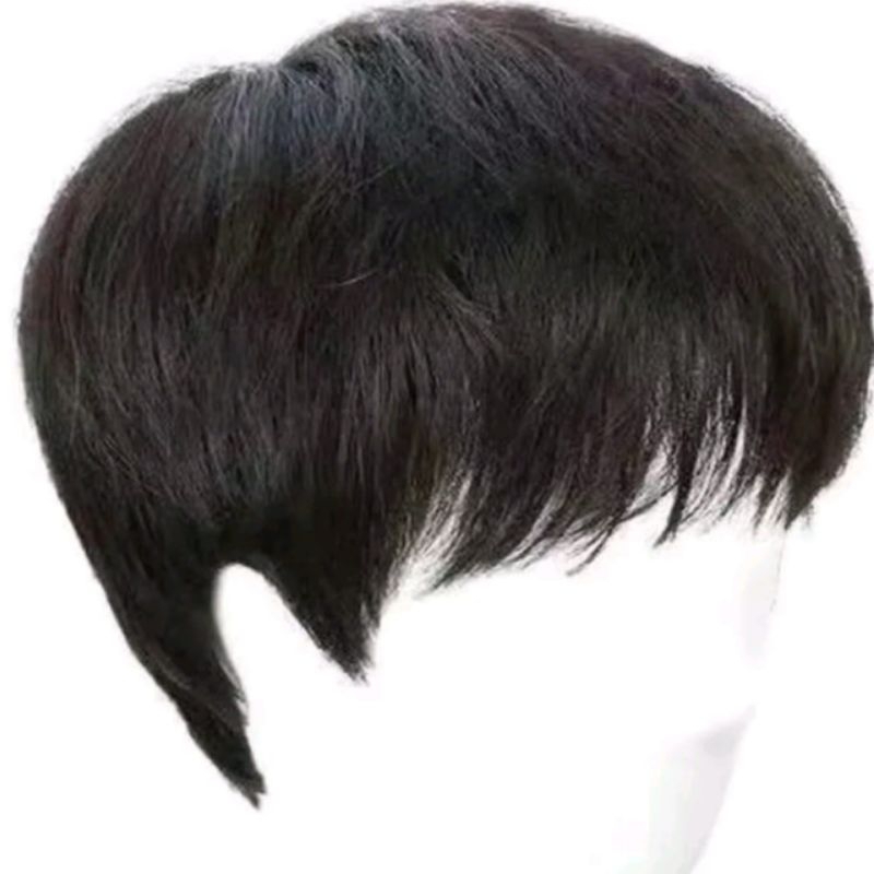 Wig Rambut Palsu Pria Rambut Pendek Dengan Poni Panjang Warna Hitam