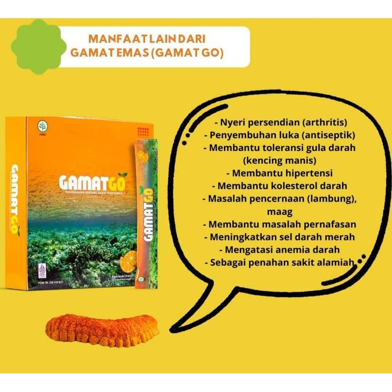 Minuman herbal GAMAT GO (EKSTRA EMULSION)  ORIGINAL K LINK obat diabetes pasca operasi