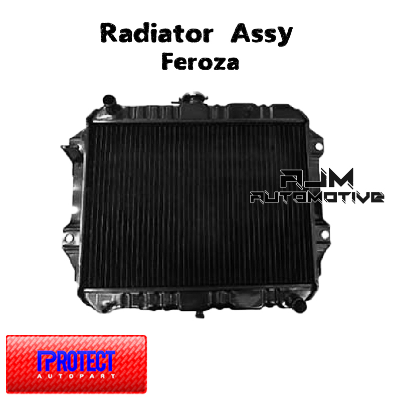 Radiator Assy Feroza Protect