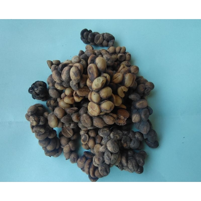 

Biji Kopi Luwak Original