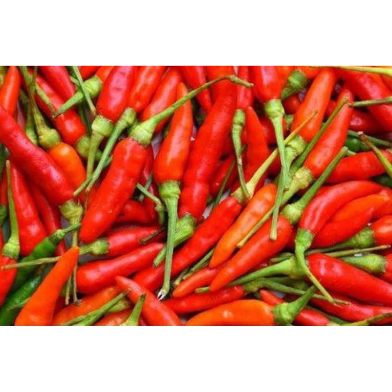 

cabai/cabe rawit merah
