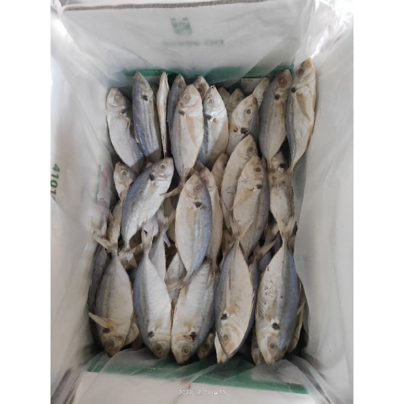 

GROSIR IKAN ASIN SELAR B2 SIZE SEDANG KERING ISI 10KG