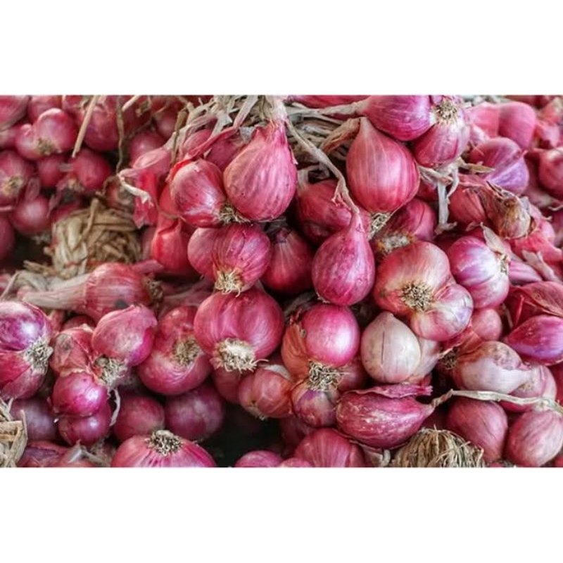 

BAWANG MERAH LOKAL PROBOLINGGO 1 Kg