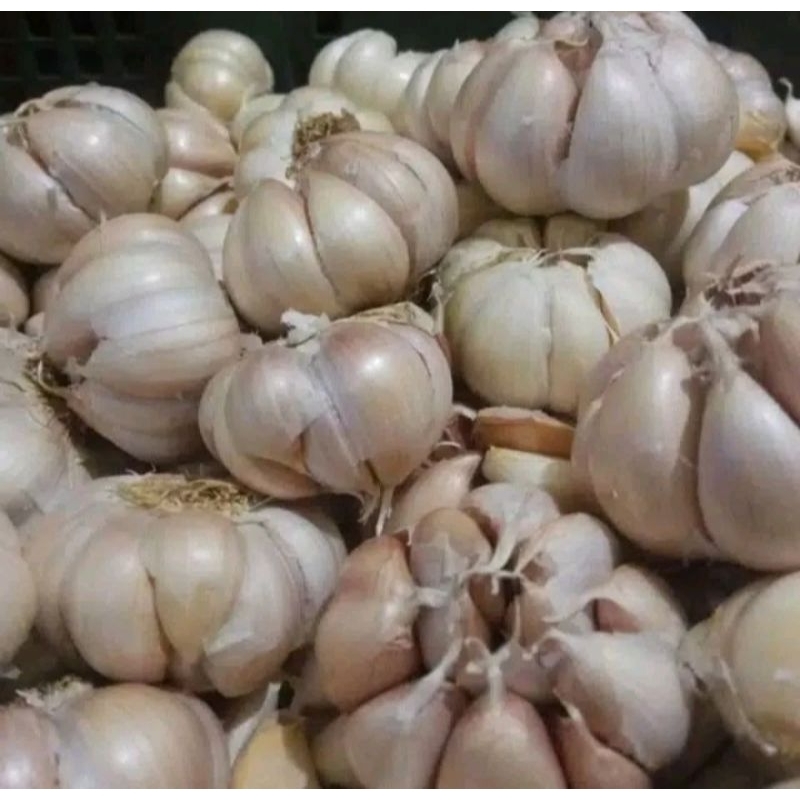 

Bawang Putih 1kg