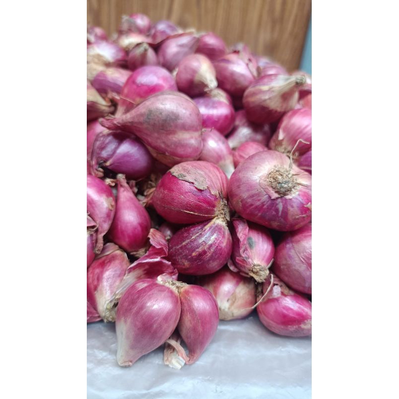 

BAWANG MERAH SUPER ASLI BREBES 1KG TERMURAHHHH