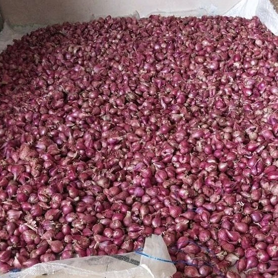 

Bawang merah brebes 1kg