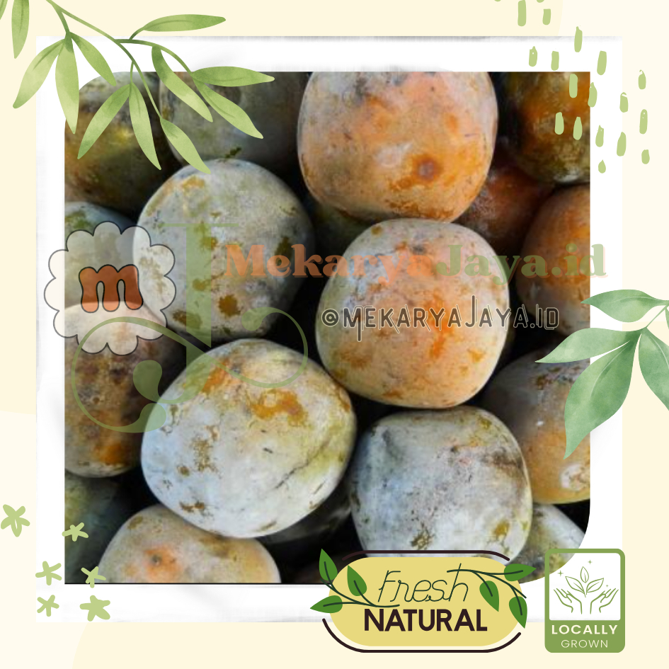 

[MJ-Fresh] Buah Kesemek