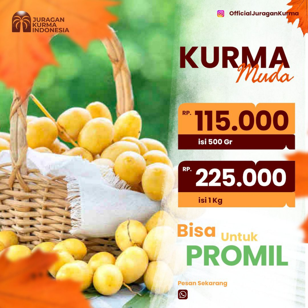 

Kurma Muda