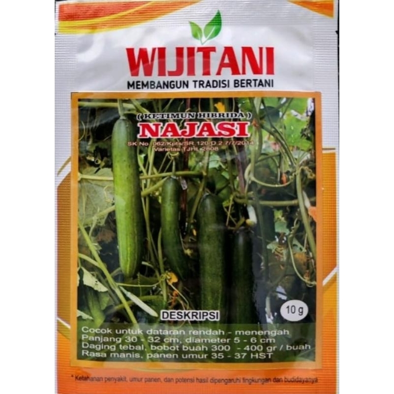 Mentimun hibrida Najasi Wijitani