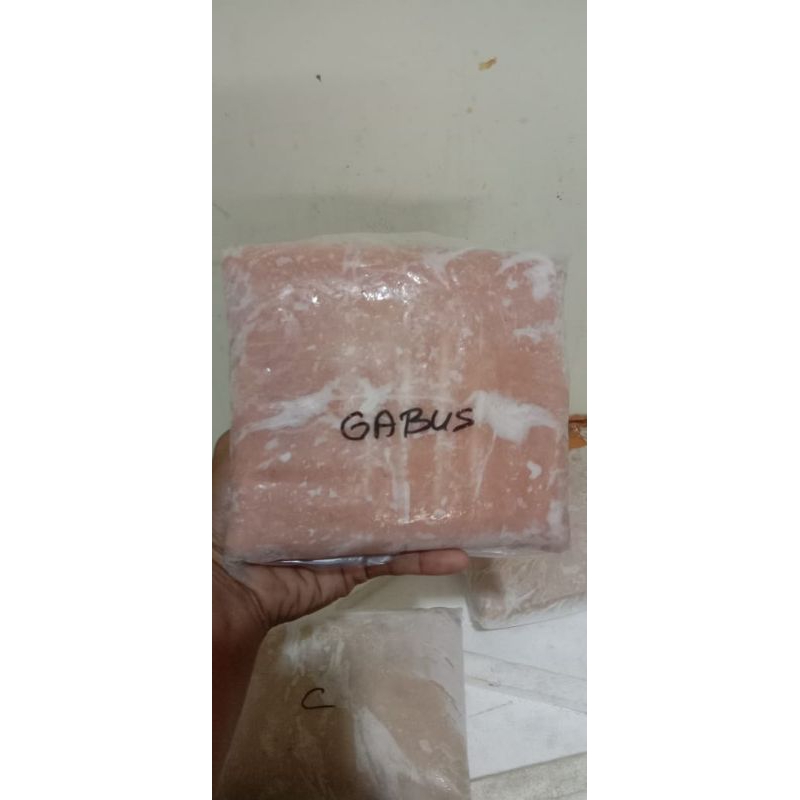 

IKAN GILING GABUS