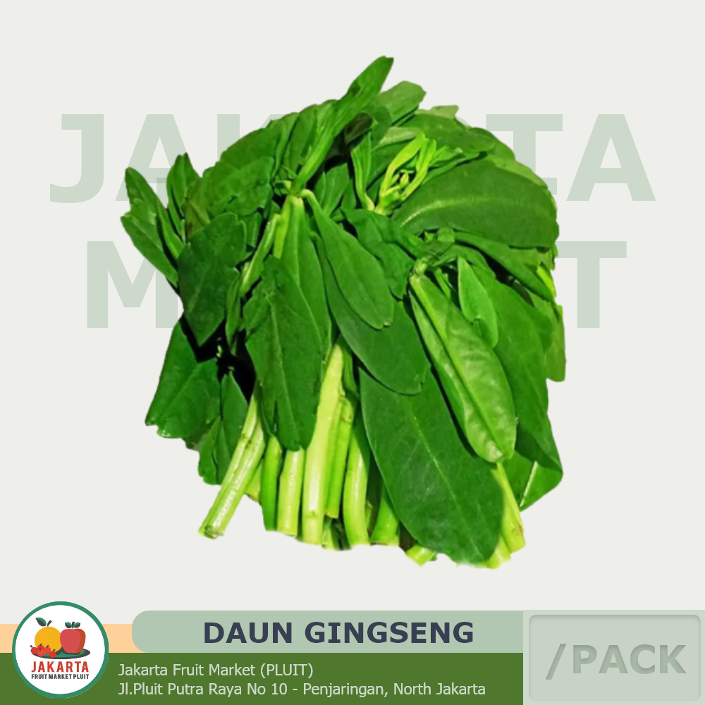 

DAUN GINGSENG /Pack