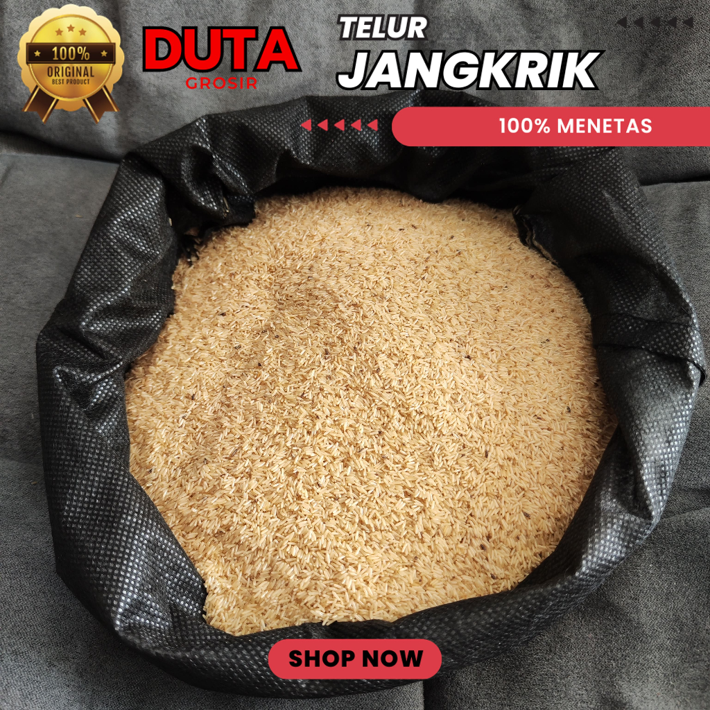 

LIMITED STOK TELUR JANGKRIK SIAP KIRIM