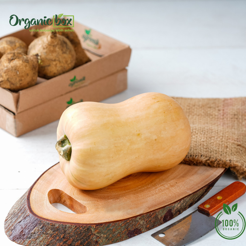 

BUTTERNUT ORGANIK 1 - 1.1KG Quality Farm