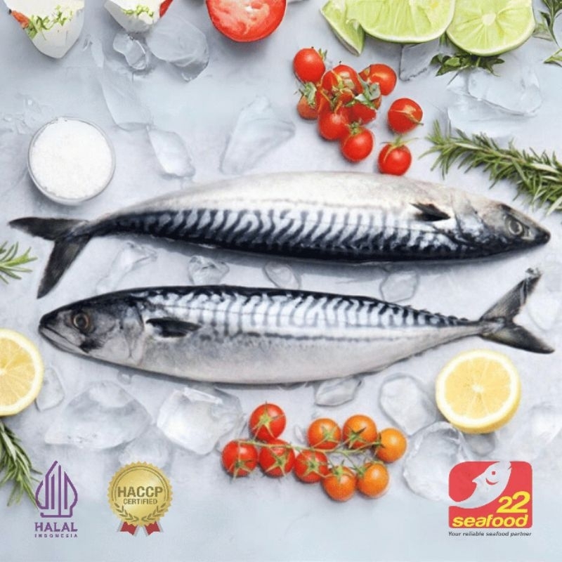 

BIG PROMO!!! Ikan Salem 500 Gram / Ikan Mackerel / Seafood 22