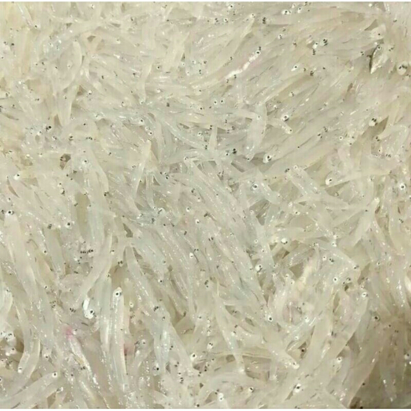 

Teri Nasi Segar