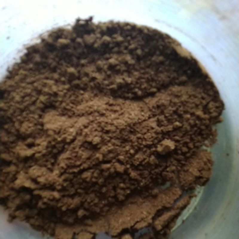 

kopi khas gayo