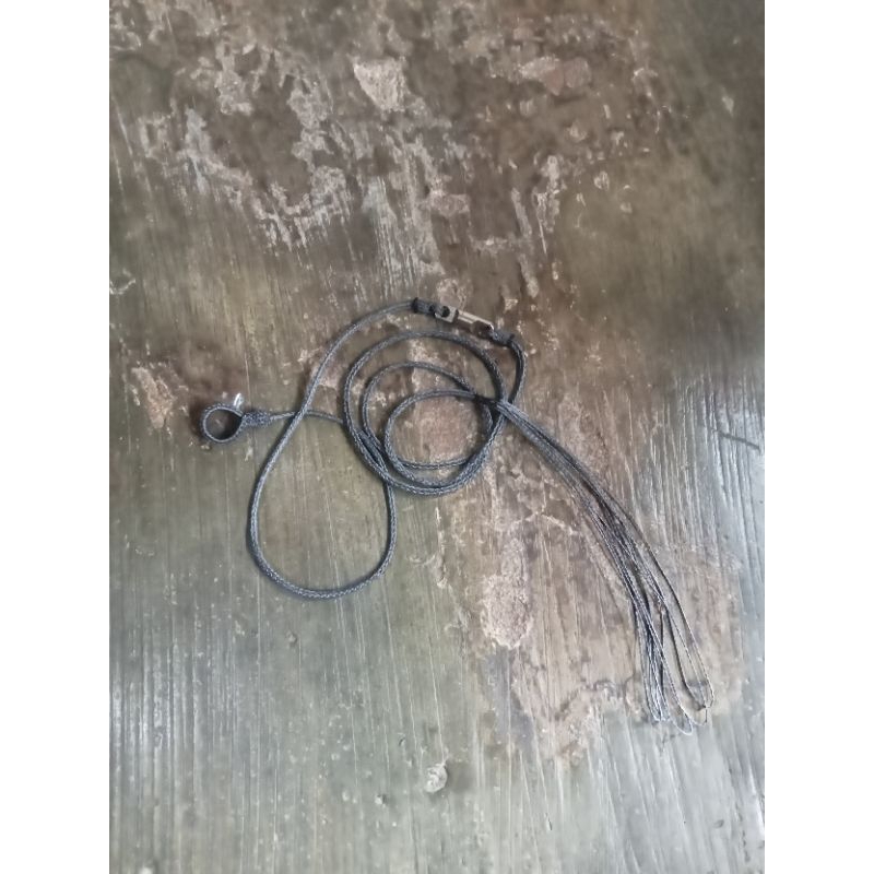 tali ayam pikat/ayam hias