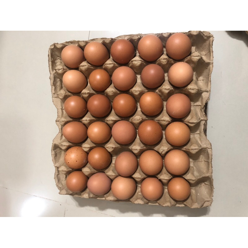 

Telur ayam negeri fresh 1kg