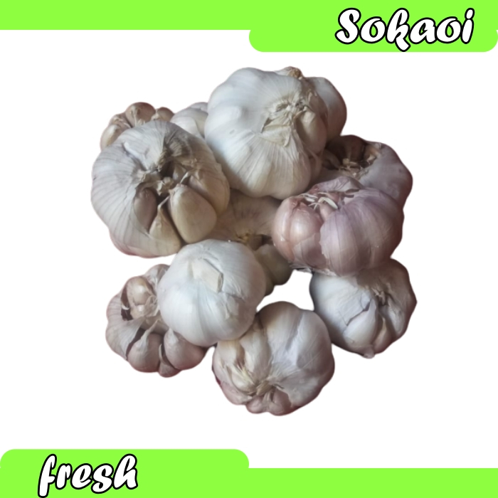 

BAWANG PUTIH SEGAR BUMBU DAPUR BUMBU MASAKAN