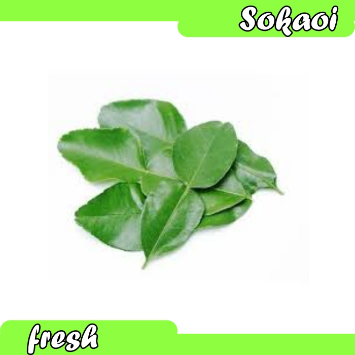 

DAUN JERUK SEGAR BUMBU DAPUR