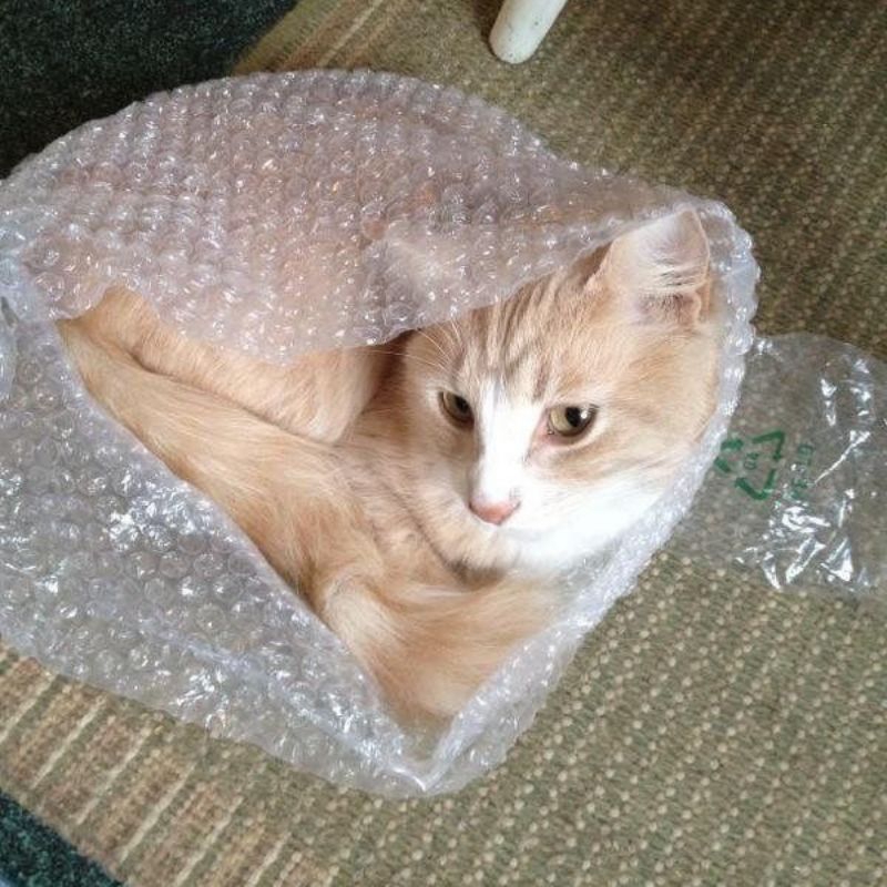 

Extra Bubble Wrap