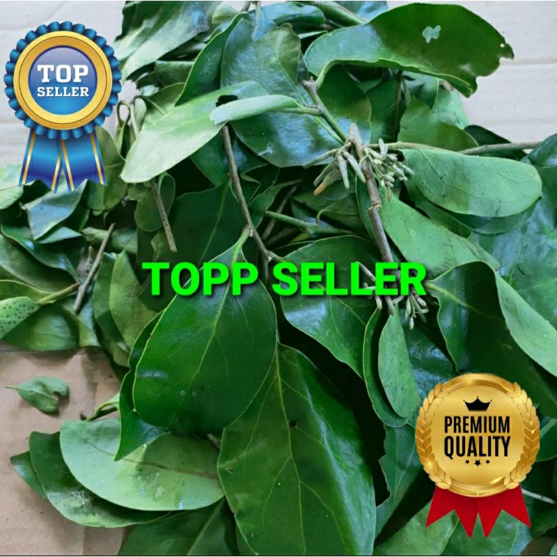 

BENALU SIRSAK KERING HIJAU SUPER PREMIUM 1 KG