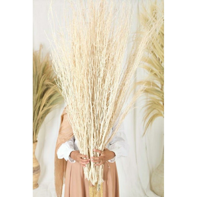 RANTING PUTIH RANTING KERING MURAH Dekorasi Craft Mahar Buket BungaHomedecor  / Ranting Rustic /Deko
