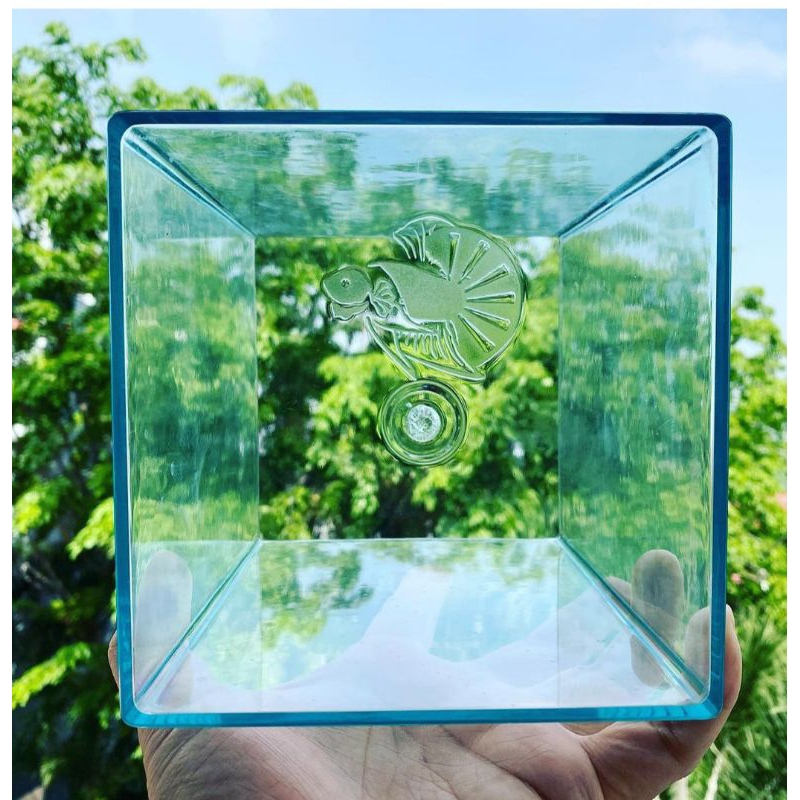 soliter / akrilik cupang  Juragan Toples ukuran.4L sale tidakada garansi pecah kak