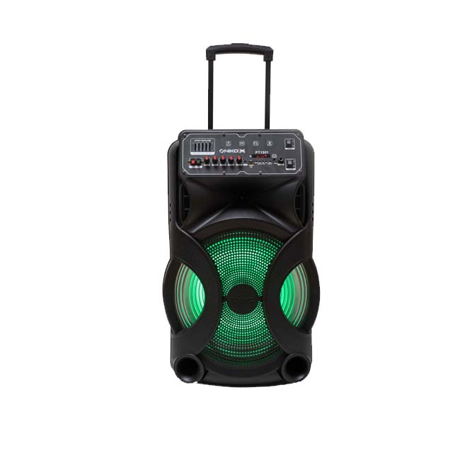 SPEAKER NIKO PT1501