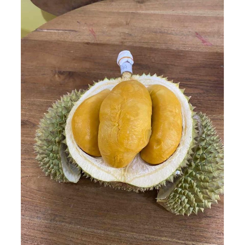 

Buah Durian Black Thorn Sultan Malaysia 1KG, 2KG,3KG Fresh Import