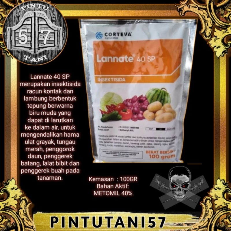 LANNATE 40SP 100GR