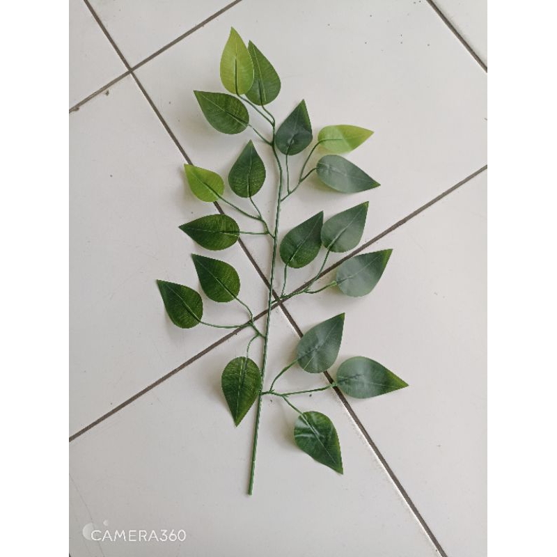 Daun bringin lateks/ daun beringin latrks/ daun beringin plastik