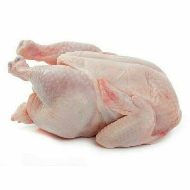 

Ayam potong karkas broiler 500gr / 0.5up