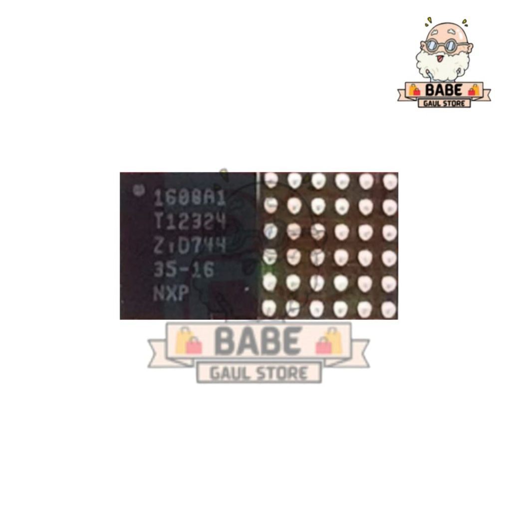 IC U2 1608A1 IPHONE 5G ORI