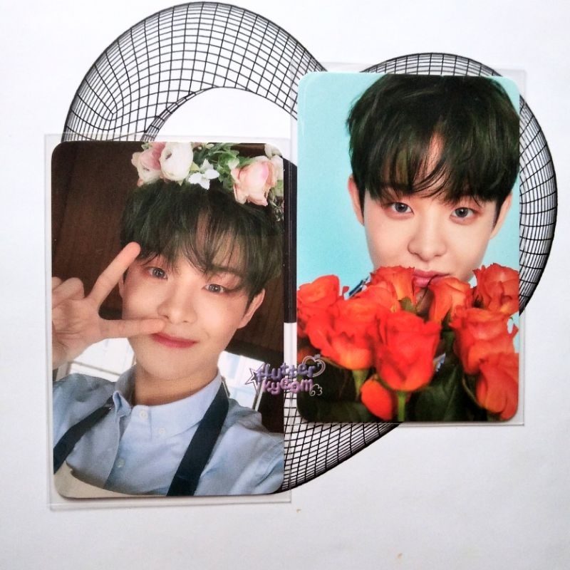ׂׂᰔᩚ. jihoon tincase md blooming treasure