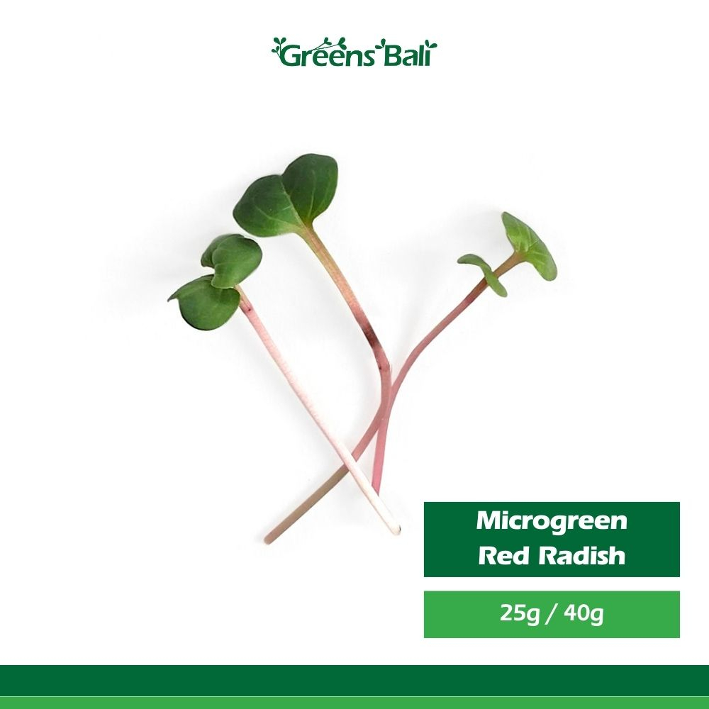 

Greens Bali Red Radish Microgreens 25g