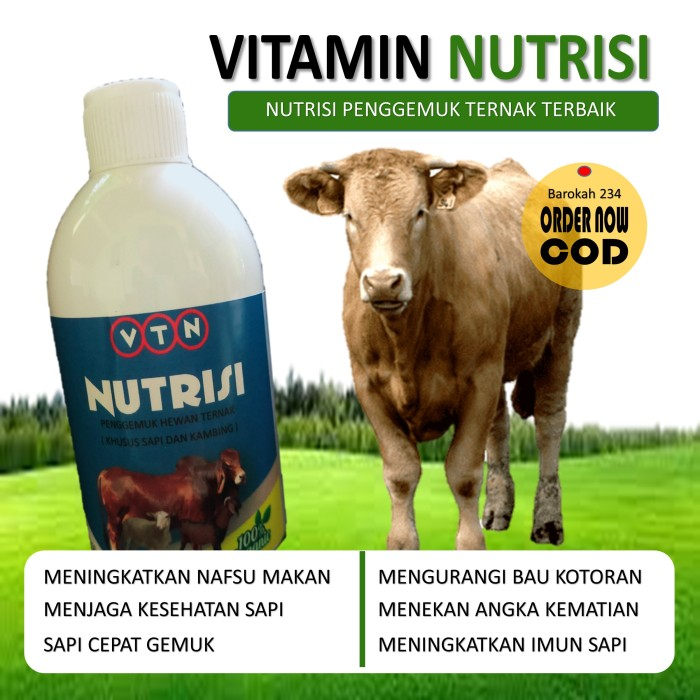 nutrisi vitamin ternak sapi probiotik jamu penggemuk organik alami