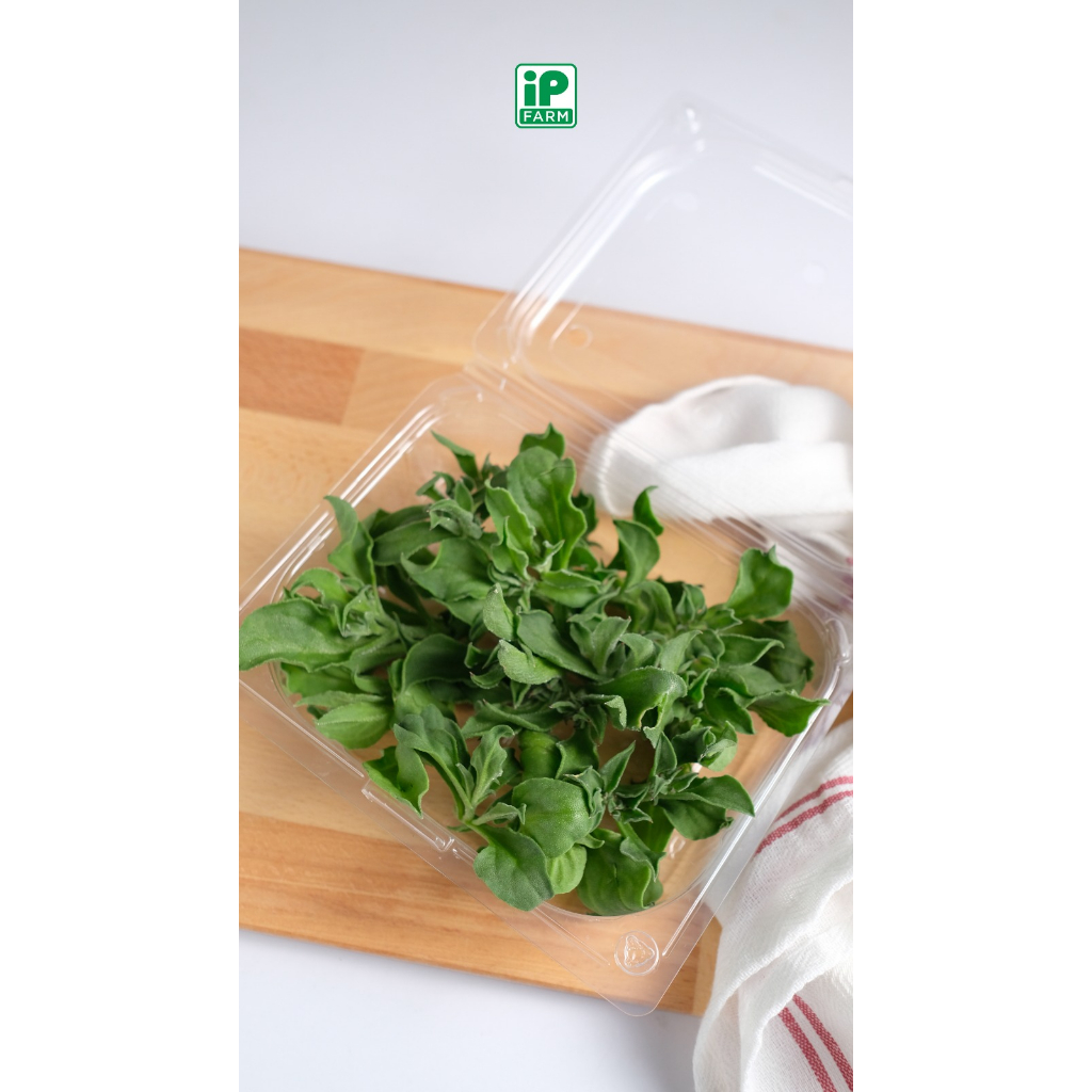Crystal Ice Lettuce