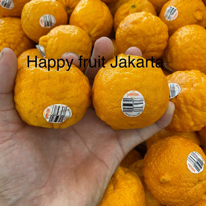 

Buah Jeruk tampa biji summerrina mandarine australia fresh 1kg