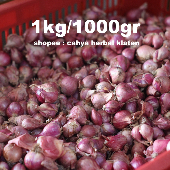 

Bawang Merah Lokal Berkualitas 1kg Ukuran Sedang