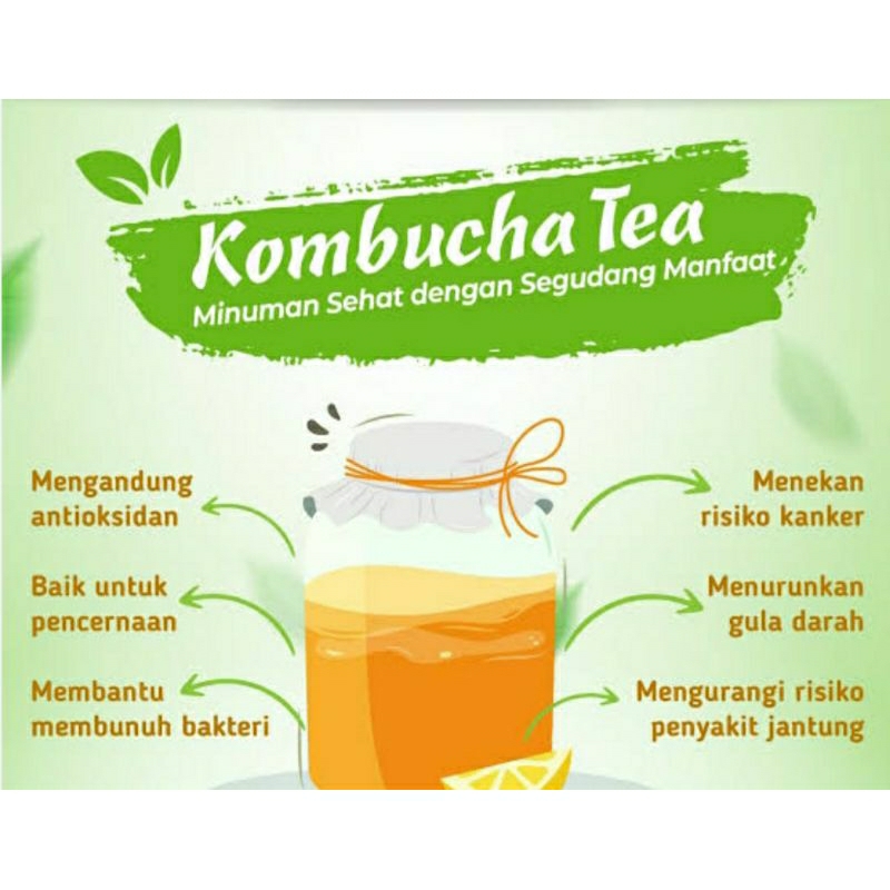 

kombucha 1000 ml