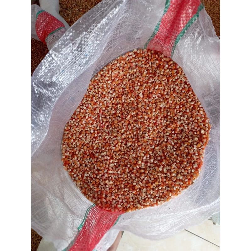 

jagung madura/ kristal kecil² murah 1 kg