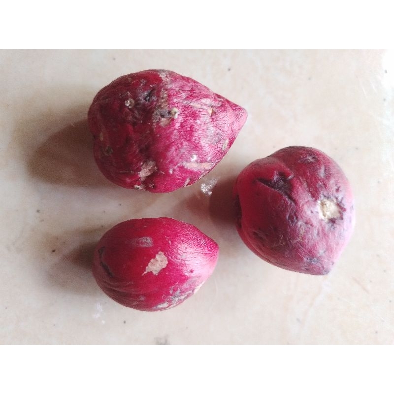 

Buah Mahkota Dewa 1/2 kg