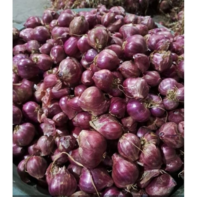 

bawang merah 1kilo
