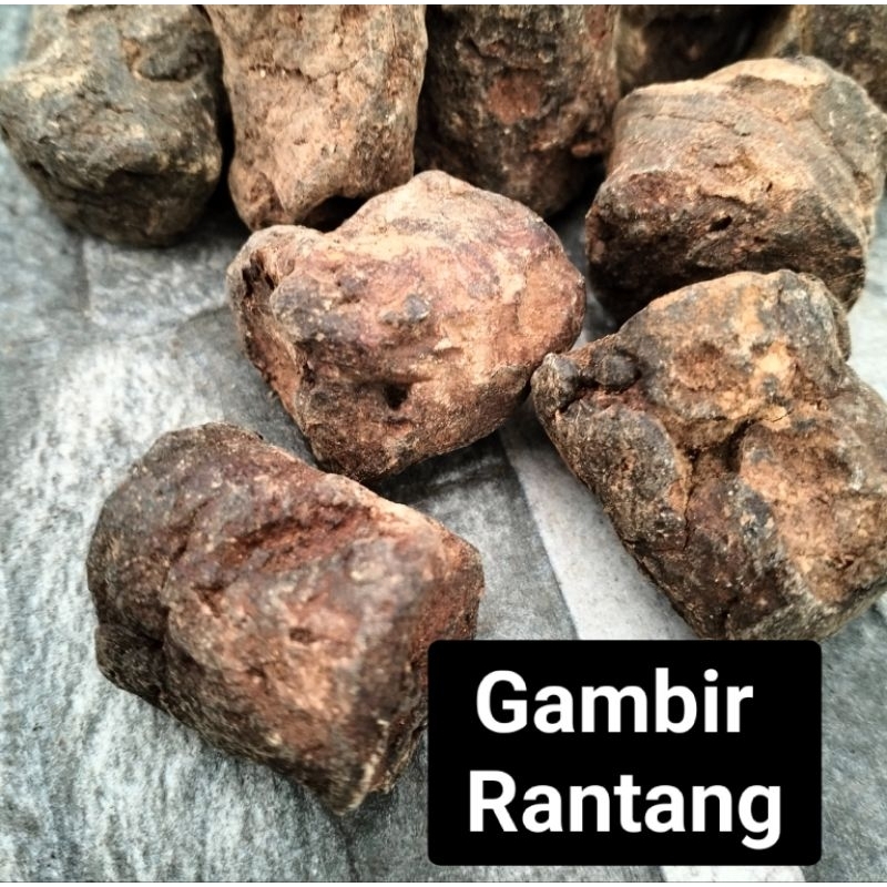 

Gambir Rantang